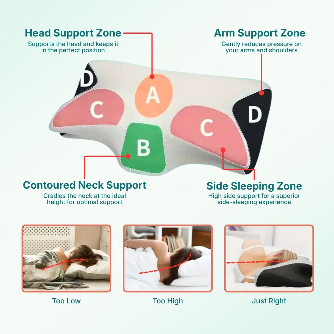 An infographic showing the different comfort zones of an ergonomic memory foam pillow, and how they help support different parts of the body.